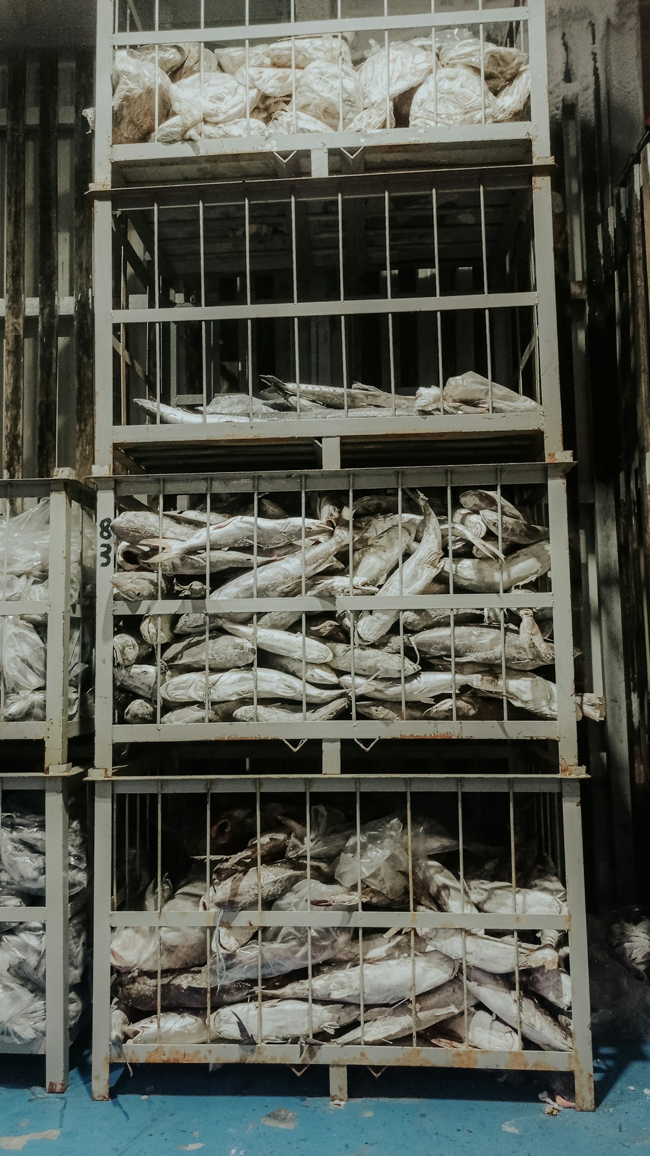 Cold storage facility for temperature-sensitive goods
